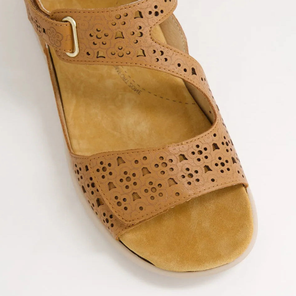 ZIERA BIZZA DARK TAN ALMOND - Women Sandals - Collective Shoes 