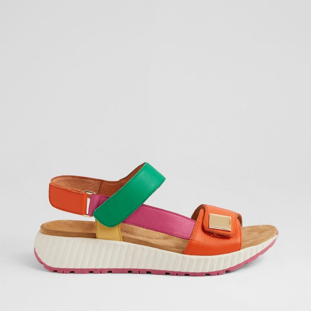 ZIERA LOMAR BRIGHT MULTI