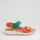 BRIGHT MULTI