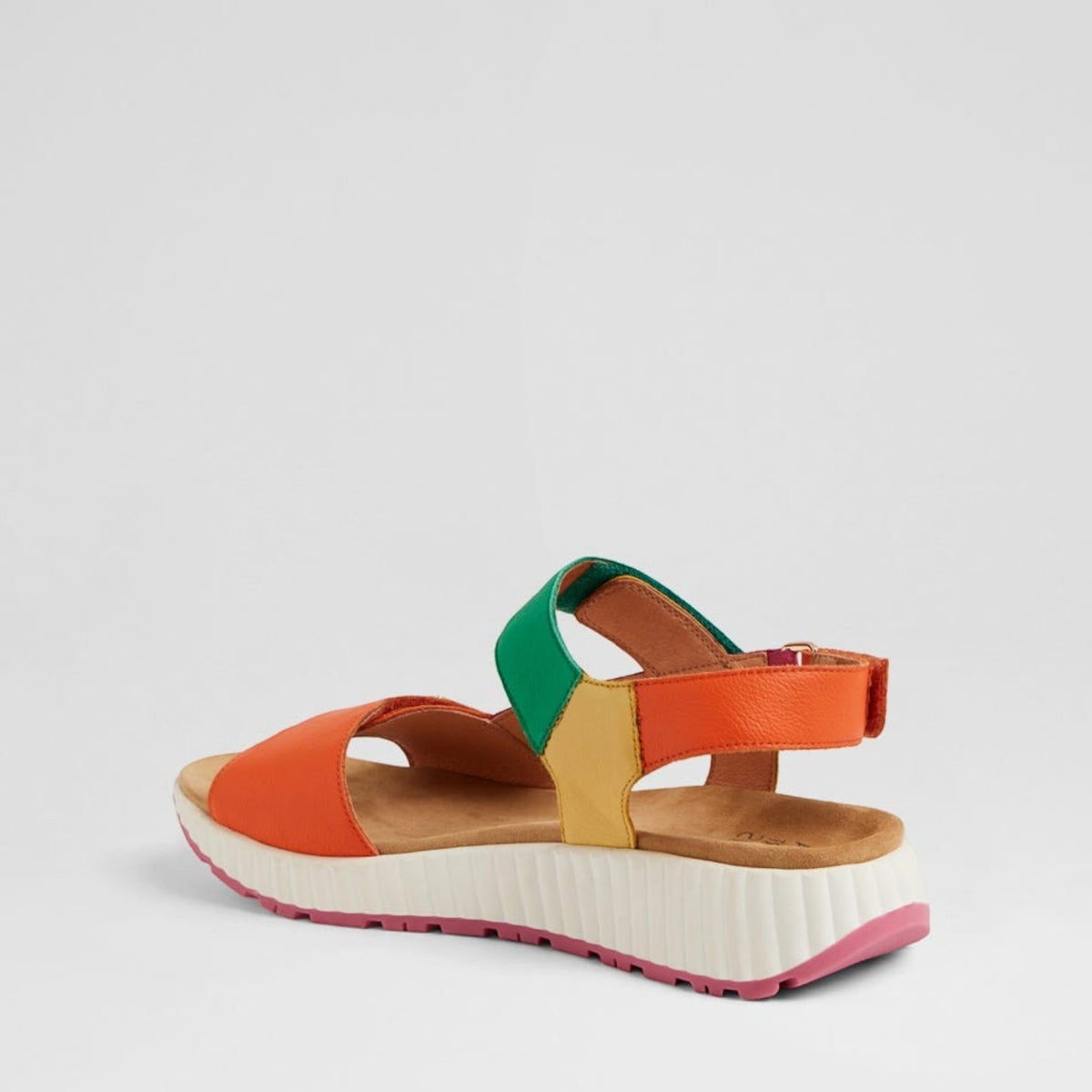 ZIERA LOMAR BRIGHT MULTI