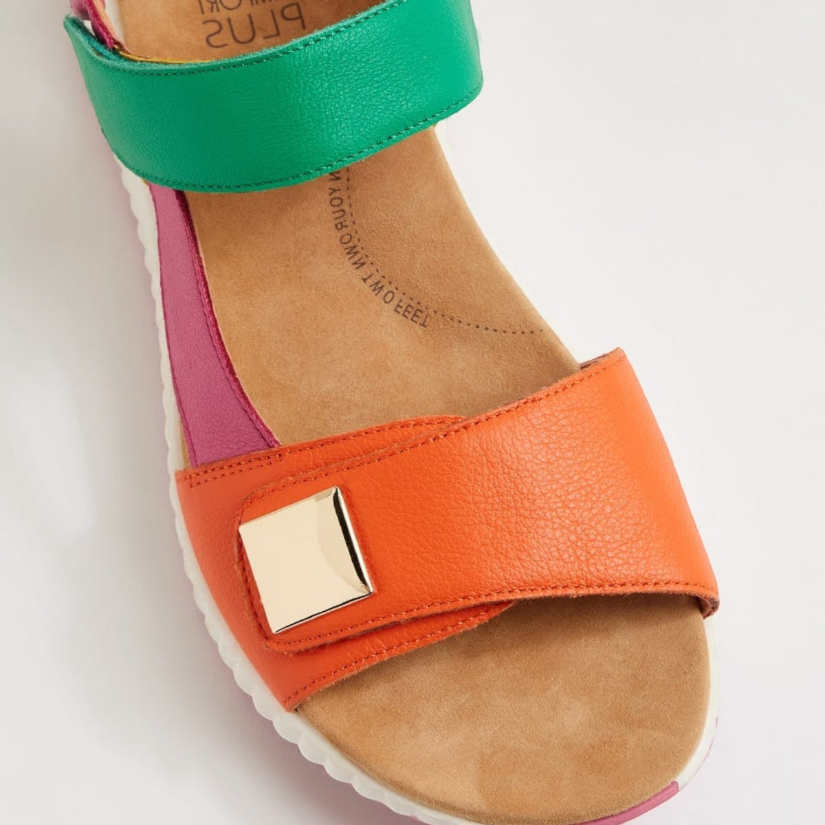 ZIERA LOMAR BRIGHT MULTI