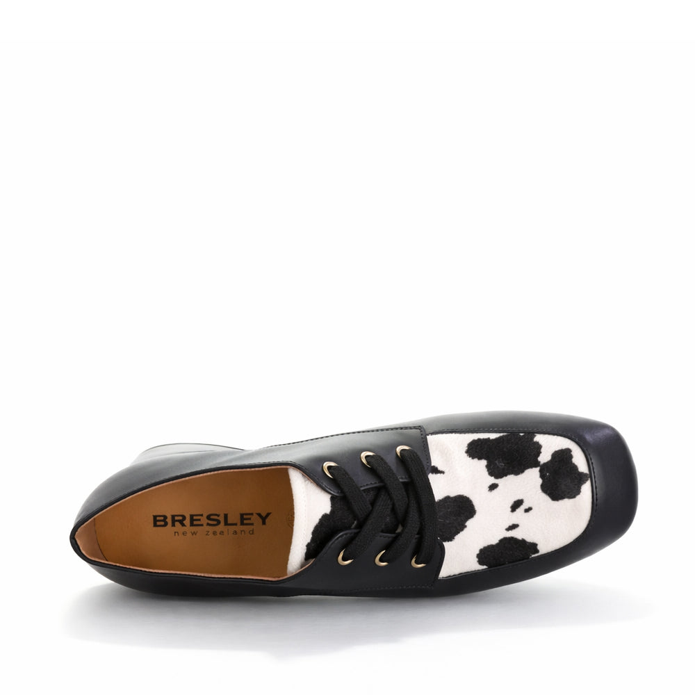 BRESLEY DESTER BLACK COW - Women Oxford / Brogue Shoes - Collective Shoes 