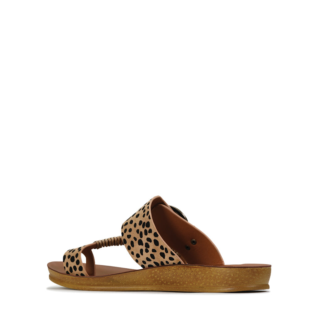 LOS CABOS BRIA CHEETAH - Women Flats - Collective Shoes 