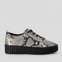 DJANGO & JULIETTE BUMP BLACK WHITE SNAKE - Women sneakers - Collective Shoes 