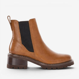 BRESLEY DAKTARI COGNAC