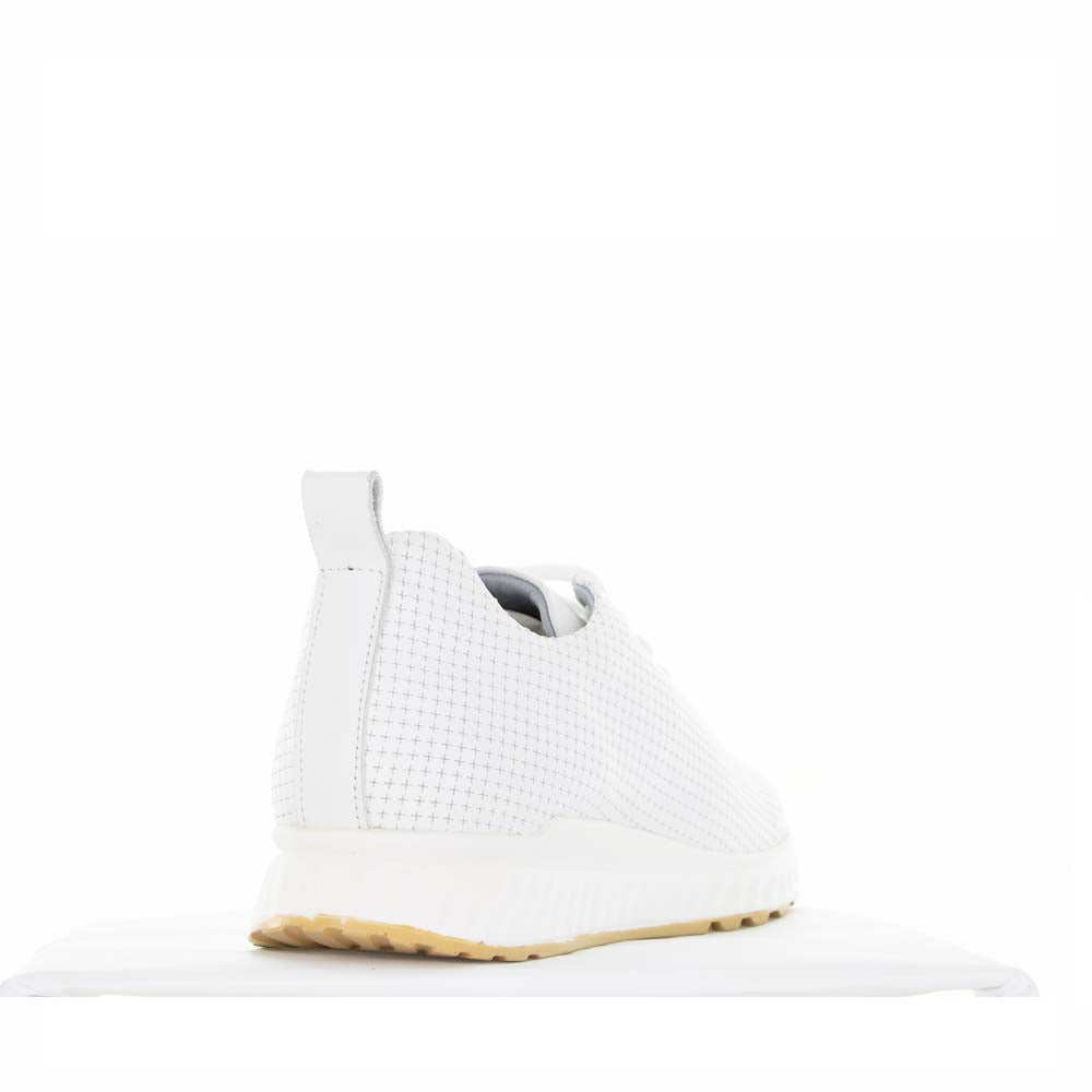 Lesansa Eaton White - Women sneakers - Collective Shoes 