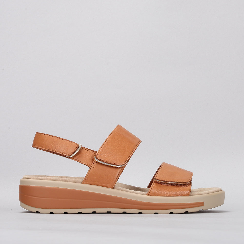 NAKED ARCHES HANZA TAN / SOFT GOLD - Women Sandals - Collective Shoes 