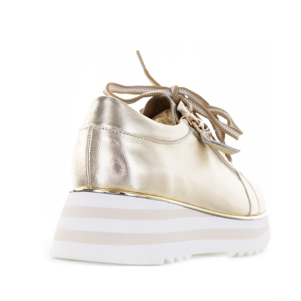 Shop Alfie Evie Hosting Gold Women Sneakers Collective Shoes NZ