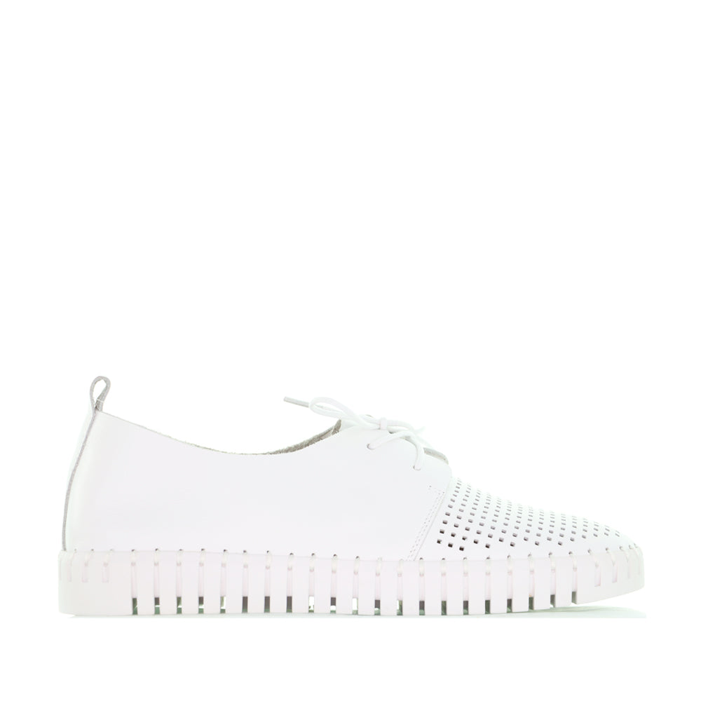 DJANGO & JULIETTE HUSTON WHITE - Women Sneakers - Collective Shoes 