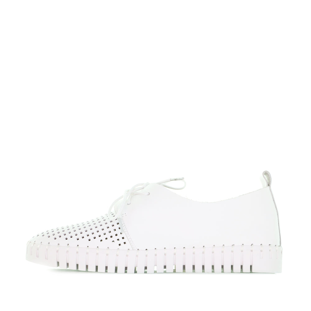 DJANGO & JULIETTE HUSTON WHITE - Women Sneakers - Collective Shoes 