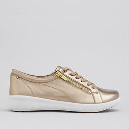 ZIERA SOLAR CHAMPAGNE