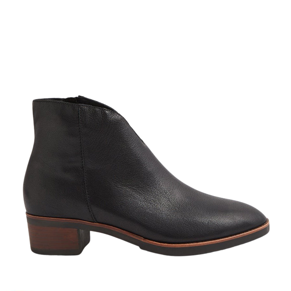 DJANGO & JULIETTE TALULA BLACK - Women Boots - Collective Shoes 