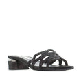 Load image into Gallery viewer, DJANGO & JULIETTE TIMUR BLACK - Women Mules - Collective Shoes 
