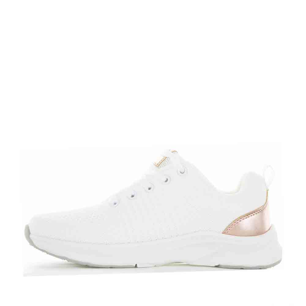 CABELLO WALKER WHITE GOLD - Women sneakers - Collective Shoes 