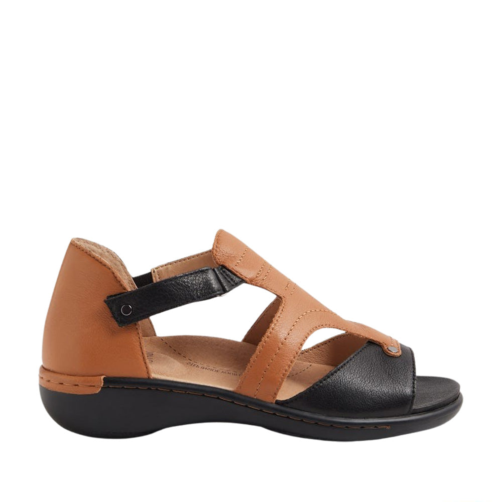 ZIERA BACE BLACK DARK TAN - Women Sandals - Collective Shoes 