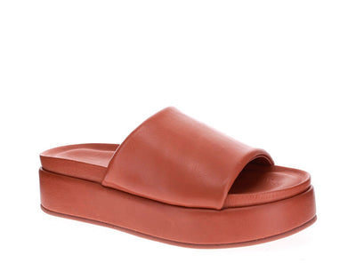 LESANSA ASHU TAN - Women Casuals - Collective Shoes 