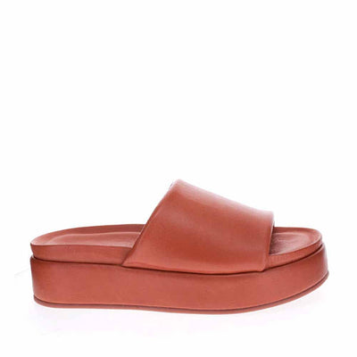 LESANSA ASHU TAN - Women Casuals - Collective Shoes 