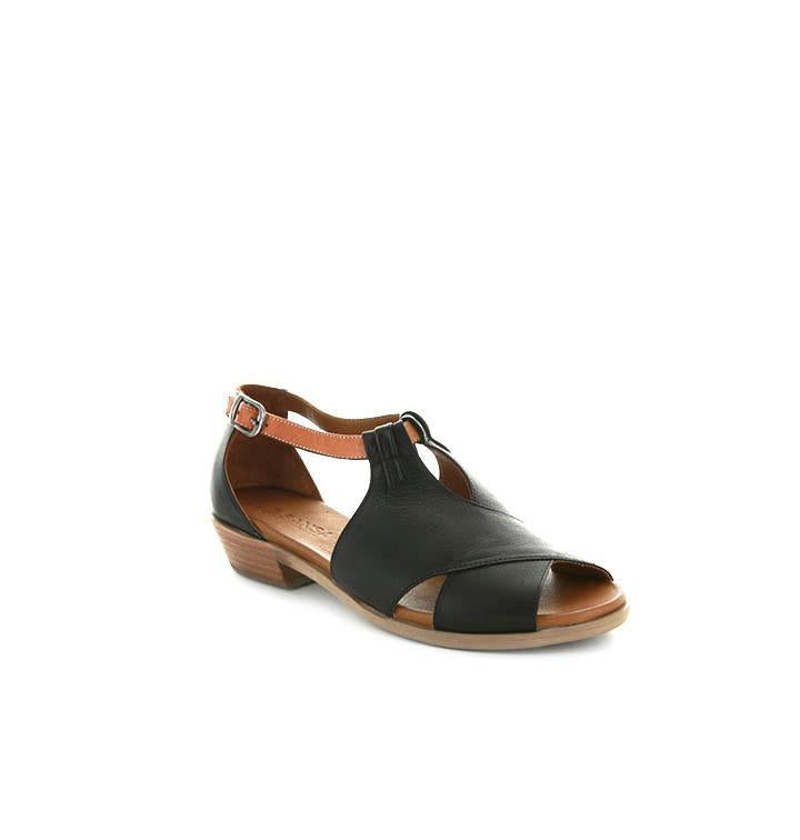 Digby - Black Tan - LE SANSA