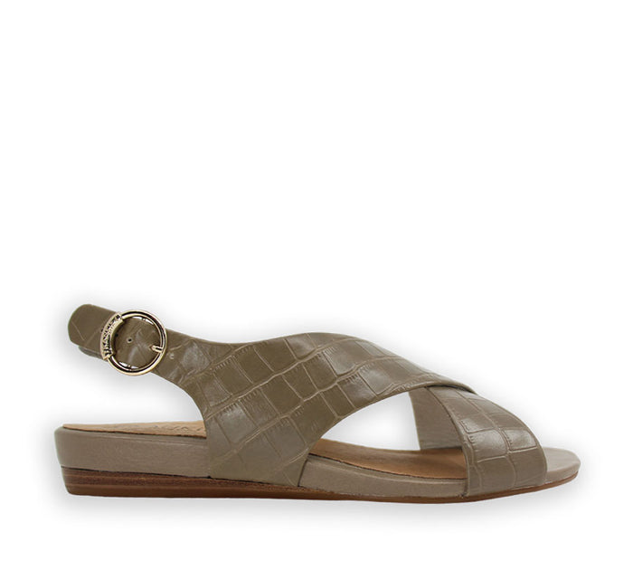 FRANKiE4 AMBER GREIGE CROC - Collective Shoes 