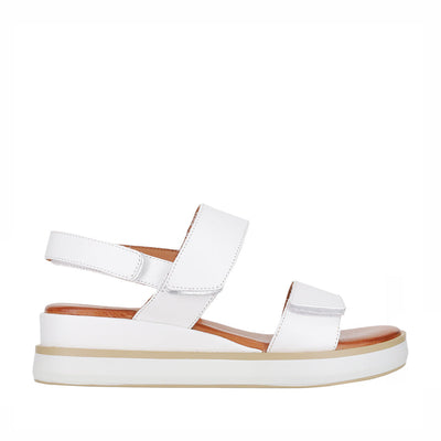 Sandals | Collective Shoes