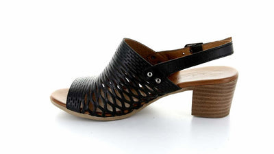 Lana Black - Collective Shoes 