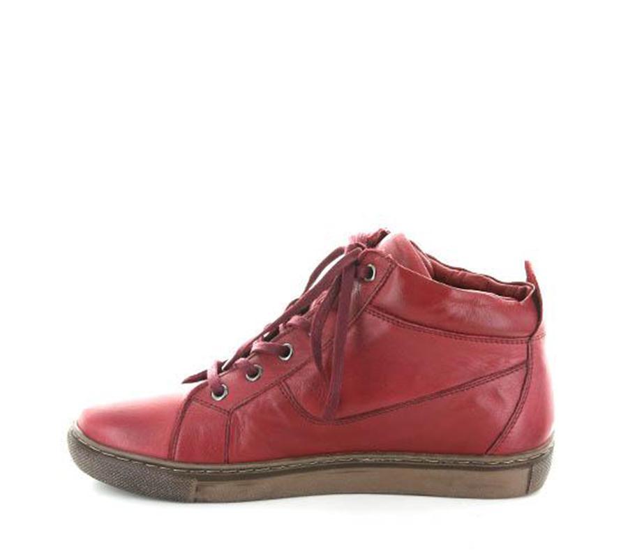 LE SANSA WINNER DARK RED - Collective Shoes 