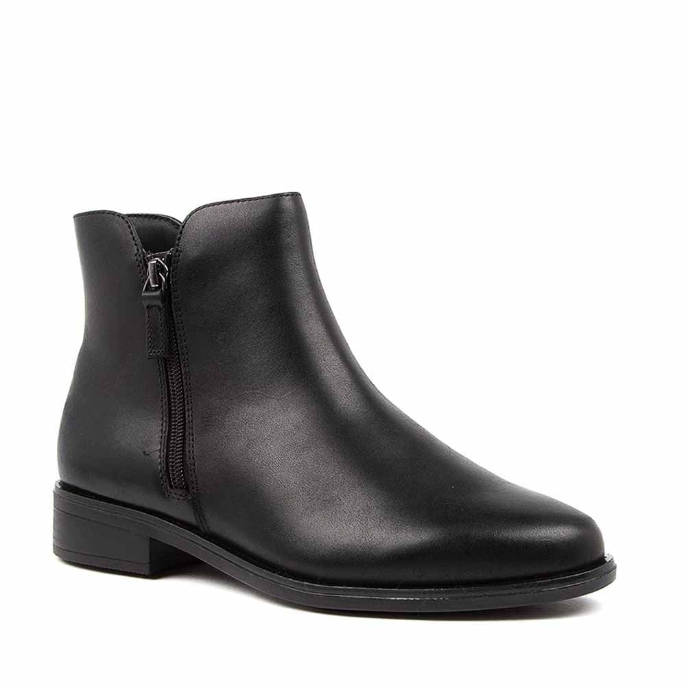 ZIERA SKYLARS - Collective Shoes 