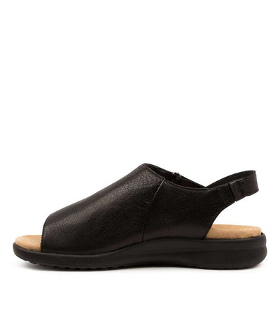 Ziera Basma Black - Women Sandals - Collective Shoes 