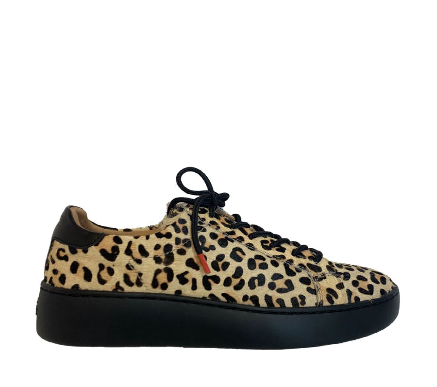 Rollie Derby City Animal Print - Collective Shoes 
