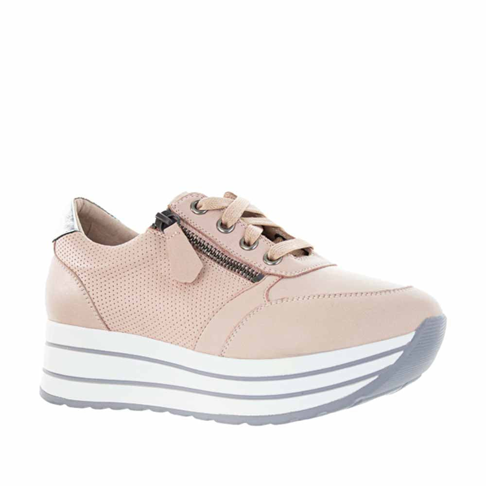 GELATO BIGBOSS POWDER - Gelato Women sneakers - Collective Shoes 