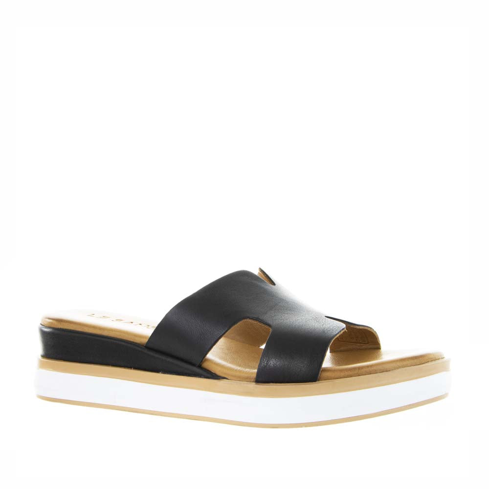 LESANSA HOOT BLACK - Women Flats - Collective Shoes 