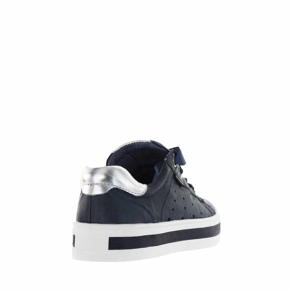 #color_navy-silver