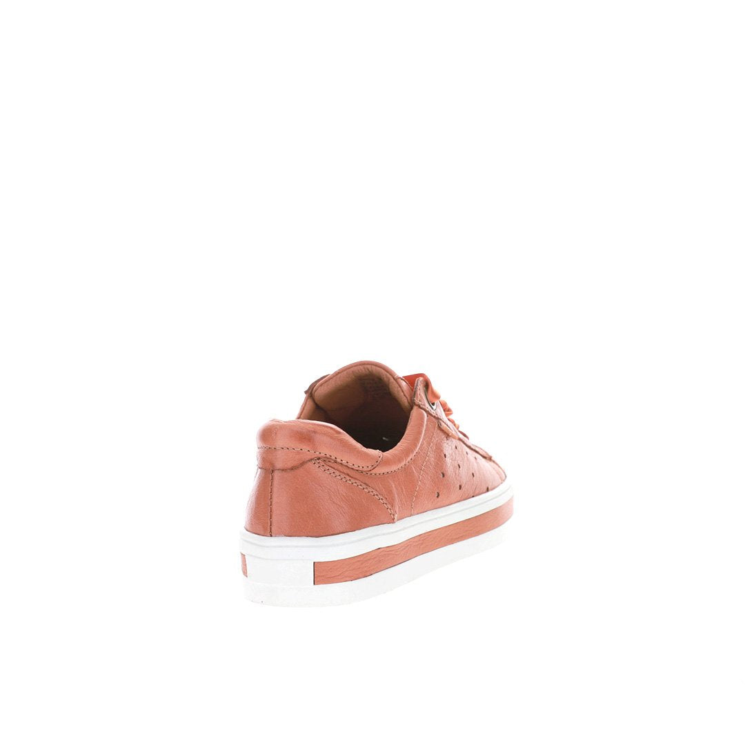 LE SANSA SAMIA - Le Sansa Women sneakers - Collective Shoes 