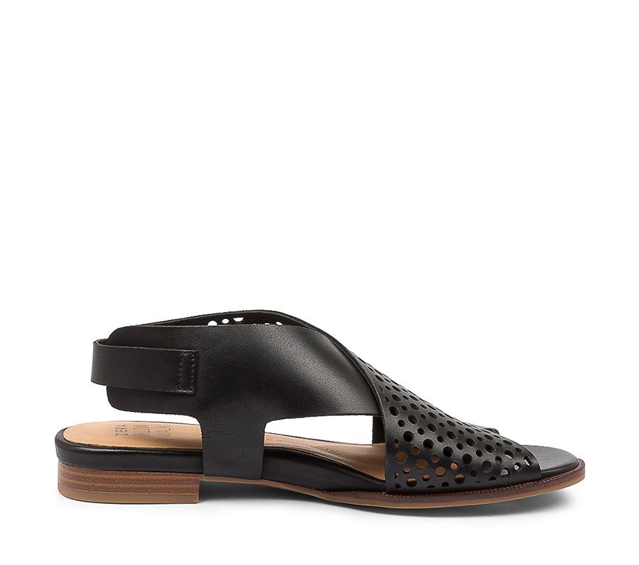 ZIERA TREKA W BLACK - Collective Shoes 