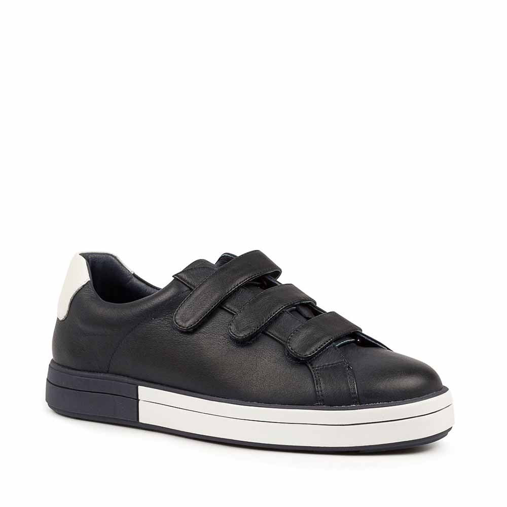 #color_navy-white